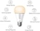 مصباح كاسا الذكي بتقنية واي فاي LED من تي بي لينك، مصباح خيطي E26، لون كهرماني دافئ 2000 كلفن، قابل للتعتيم، لا يتطلب جهاز تحكم مركزي، متوافق مع مساعدي أليكسا وجوجل (KL60KL110 1