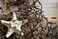 Nautical Crush Trading Fishing Net - 5' X 10' Decorative Wall Decor - Nautical Fish Net for Sea Netting Decoration