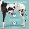 Simple Solution Disposable Dog Diapers for Female Dogs, True Fit, Absorbent Leak Proof with Wetness Indicator, XXL PuppyDoggie Period PadPee Diaper, for Large Pets 22-37 Inch Waist, 12 Count