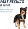 PetArmor CAPACTION (nitenpyramOral Flea Treatment for Dogs, Fast Acting Tablets Start Killing Fleas in 30 Minutes, Dogs 2-25 lbs, 6 Doses