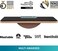 Plankpad PRO – Interaktiver Ganzkörper-TrainerBalance Board - Plank Bauchmuskel Trainerinkl. تطبيق الهاتف الذكي مع SpielenWorkouts - مدرب اللياقة البدنية للعائلة