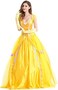 Qubskry Princess Beauty Costume for Women, Girl Princess Belle Dress up Ball Gown, Halloween Costume Adult