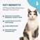 علاج BestLife4Pets لنزلات البرد والتهابات الجهاز التنفسي للقطط - تنفس بسهولة، راحة طبيعية لسيلان الأنف والعطس والسعال واحتقان الأنف والربو لدى قطتك - 400 حبة عديمة الرائحة والطعم