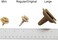 THE MIRACLE NIPPLE Mini for Pets and Wildlife (Dual Set