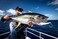 Nomad Design Dtx Minnow Sinking artificial-fishing-bait
