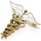 CocoRibbon Enamel Medical Symbol Caduceus Brooch Pins For Doctor Nurse Gift Brooches, enamel