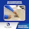 Pro Grade - Paint Brushes - 5 Ea - Paint Brush Set