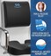Everlasting Comfort Memory Foam Seat Cushion and Lumbar Support Pillow Combo - Gel Infused and Ventilated Office Desk Chair and Car Tailbone, Coccyx, Sciatica, Back Pain Relief Orthopedic Pad (Black