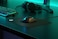 سطح الألعاب Steelseries Qck - قماش متوسط ​​السماكة - تتبع وثبات فائقان - أسود