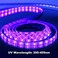 شريط إضاءة LED بالأشعة فوق البنفسجية من YGS-Tech بقوة 24 واط، بطول 5 أمتار (16.4 قدم)، 3528، 300 مصباح LED، نطاق 395-405 نانومتر، غير مقاوم للماء، مناسب للصيد الليلي والحفلات، مزود بمصدر طاقة 12 فولت