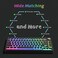 Womier Pudding Keycaps, PBT Keycaps 165 Keys Set, Custom Keycap Set, Shine Through OEM Profile, Universal Compatibility for 100%, 75%, 65%, 60% Mechanical Keyboards - Black