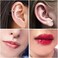 D.Bella 14G 16G 18G 20G Surgical Steel Nose Septum Horseshoe Hoop Eyebrow Lip Navel Belly Nipple Piercing Ring 8mm 10mm Helix Tragus Daith Rook Earrings w Replacement Spikes