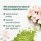 Not Your Mother's Naturals Matcha Green Tea ShampooConditioner Dual Pack, 15.2 fl oz