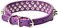Aolove Mushrooms Spiked Rivet Studded Adjustable Microfiber Leather Pet Collars for Cats Puppy Dogs (10.6"-13" Neck, Purple