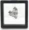 Starborn Genuine Campo Del Cielo 20-30 gram Meteorite Nugget