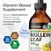 BIO KRAUTER MAUWE HERBS Mullein Leaf Tincture - Lung Cleanse - Mullein Leaf Liquid Extract - Lung Detox - Respiratory Health Drops - Organic Lung Health. Herbal Supplement, 4 Fl Oz.