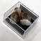 fengshuisale Natural Citrine Point Healing Crystal Stone for Luck,Success,Making Changes,Confidence in Business,Creativity,and Inspiring Passion Home Decor (Citrine Point