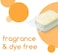 Beyond Auto Dishwasher Tablets [32 tablets] - FragranceDye Free - Certified Biobased. Powerful. Plant-Based Ingredients