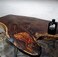 Walrus Oil - Furniture Finish Danish Oil. Tung Oil Based Wood Sealer. Naturally VOC-Free, Matte Finish, 8oz Bottle