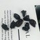 fengshuisale Natural Pyrite Healing Crystal Stone for Luck,Success,Making Changes,Confidence in Business,Creativity,and Inspiring Passion Home Decor (Pyrites