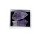fengshuisale Natural Pyrite Healing Crystal Stone for Luck,Success,Making Changes,Confidence in Business,Creativity,and Inspiring Passion Home Decor (Pyrites