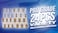 Pro Grade - Chip Paint Brushes - 24 Piece Variety Chip Brush Set