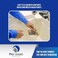 Pro Grade Paint Brush Set - 3-Pack - 2" Angle Brushes for All Latex and Oil PaintsStains - Home Improvement - InteriorExterior Use