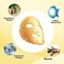 Permotary Joynest 6 PCS 24k Gold Gel Collagen Face Masks, Facial Treatment Deep Moisturizing Masks For Anti Aging Puffiness Skincare Anti Wrinkle Tighten SkinRevitalize Skin (Gold