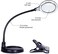 Brightech LightView Pro Flex 2-in-1 Magnifying Glass LED Lamp - Lighted Magnifier with StandClamp - for Desk, Sewing, Table - Bright Light for Reading, Crafts - 2.25x Magnification