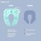 Jool Baby Products Folding Travel Potty Seat for Boys and Girls, Fits RoundOval Toilets, Non-Slip Suction Cups, Includes Free Travel Bag - Jool Baby