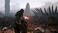 Maximum Entertainment A Plague Tale: Innocence PlayStation 4 (PS4