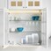 Simple Houseware Plate Drying Rack with Drainboard, Chrome