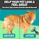 Maxpower Planet Pet Grooming Brush - Double Sided Shedding and Dematting Undercoat Rake Comb for Dogs and Cats,Extra Wide, Blue, Dog Grooming Brush, Dog Shedding Brush