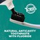 Tom's of Maine Activated Charcoal Whitening Toothpaste with Fluoride, Peppermint, 4.7 oz. 3-Pack (Packaging May Vary