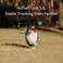 DJI OSMO Mobile SE Intelligent Gimbal, 3-Axis Phone Gimbal, Android and iPhone Gimbal, Vlogging Stabilizer YouTube and TikTok Videos, UAE Version