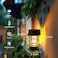 pearlstar Multifunctional Solar Led Hanging Umbrella Lantern Lights 2 Pack Garden Outdoor Pathway Lights Vintage Beach Pavilion Lanterns (2 Pack Warm Lights, Hanging Design