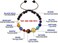 MENGLINA Women Stone Bead Charm Bracelet Universe Galaxy the Eight Planets Nine Planets in the Solar System Guardian Star Bracelets