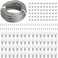 Blisstime Picture Hanging Kit, 60 Pcs D Ring Picture Hangers with Screws and 100 Feet Stainless Steel Hanging Wire, for Hanging Paintings Photos