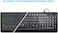 SurnQiee Large Font Print USB LED Backlit Keyboard 104 Keys Standard Full Size Computer Keyboard - White Backlit