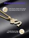 Richsteel Hip Hop Crown Pendant for Men Initial S Letter Necklace Monogram Jewelry King Kingdom Alphabet Charm with Chain 22'', 19-Gold-S, gold-plated-copper, Cubic Zirconia