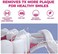Vekkia Sonic Rechargeable Kids Electric Toothbrush, 3 Modes with Memory, FunEasy Cleaning, 24000 Strokes, IPX7 Waterproof, 2-Min Timer for Age 5, 4 Soft Bristles(Pink