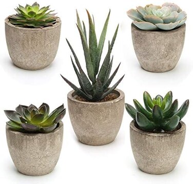Coitak Artificial Succulent Plants Potted, Assorted Decorative Faux Succulent Potted Fake Cactus Cacti Plants with Pots, Set of 5