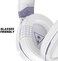 Turtle Beach Recon Spark Gaming Headset - PS4, PS5, Nintendo Switch, Xbox OnePC, Wired