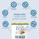 Designer Wellness Protein Totally Egg, Classic Vanilla, 12.4 Ounce, Egg WhiteYolk Protein Powder