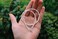 Qiuseadu 7th Moon Puka Shell Necklace Hawaiian White Turquoise Bead Choker Beach Necklace for Women Girls (White Bead