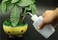 QUUPY 2PCS 1000ml/34 oz Plastic Squeeze Bottle With Measuring Refillable Bent Tip Wash Cleaning Soap Liquids Water Storage Containers Pot Holder Portable Safety Garden Home Kitchen Medical Supply (Whi