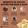 Lb Cocoa Pure Raw Use for Lotion Butter Cream Lip Balm - Oil Stick or and Body Non-GMO