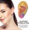 ROSENICE 600 Counts Acupuncture Vaccaria Ear Seeds Disposable Ear Press Seeds Multi-Condition Ear Seed Acupressure Kit (10 Sheets