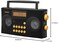 Sangean AM/FM Stereo Portable Radio with Voice Prompts, PR-D17, Black