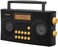 Sangean AM/FM Stereo Portable Radio with Voice Prompts, PR-D17, Black